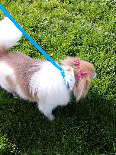 Pet Supply Store «Petco Animal Supplies», reviews and photos, 2000 NE Burnside Rd, Gresham, OR 97030, USA