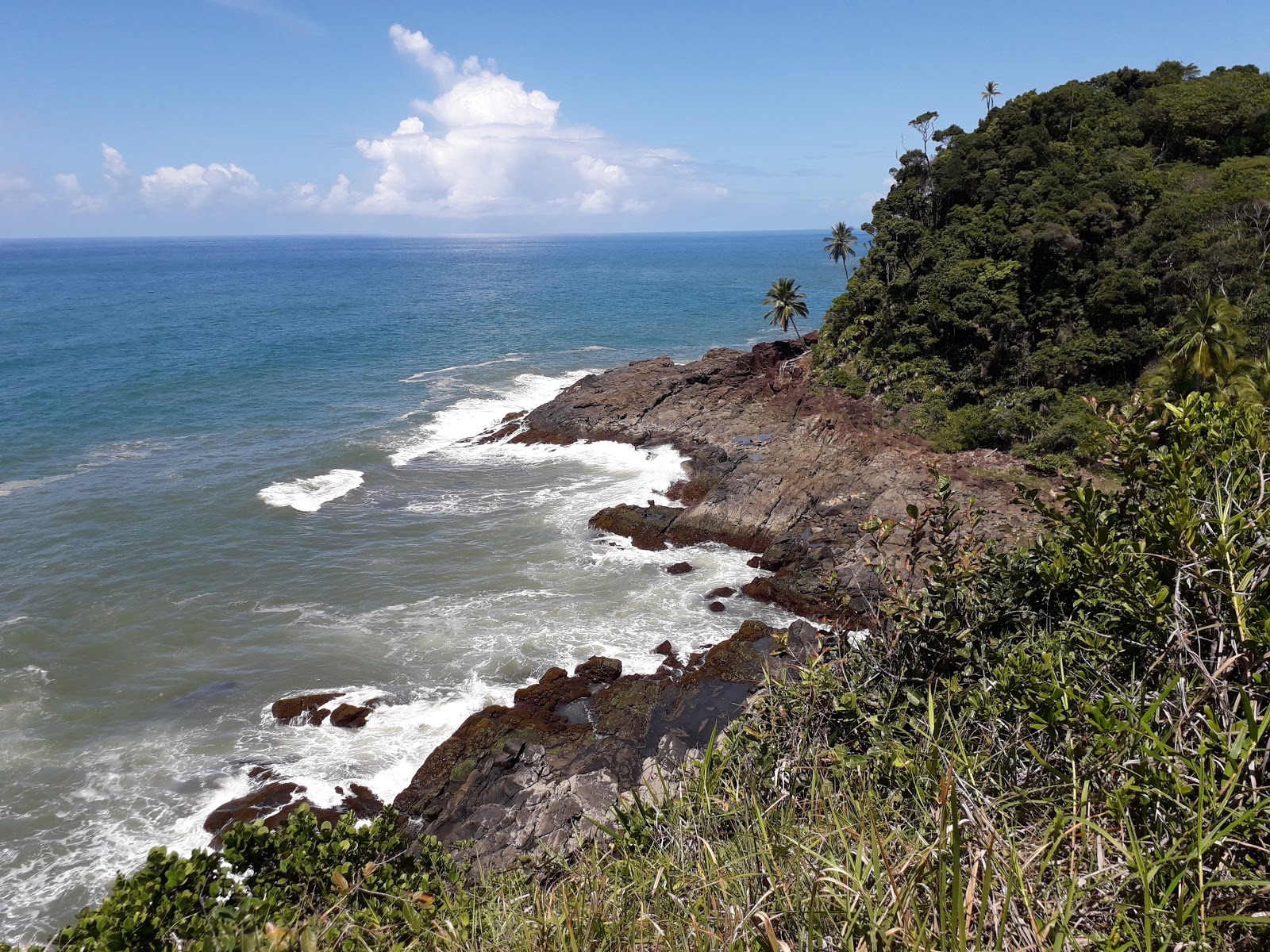 Foto de Praia do Siriaco II localizado em área natural