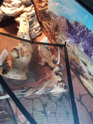 Tropical Fish Store «J B Tropical Fish», reviews and photos, 1950 N Black Horse Pike, Williamstown, NJ 08094, USA