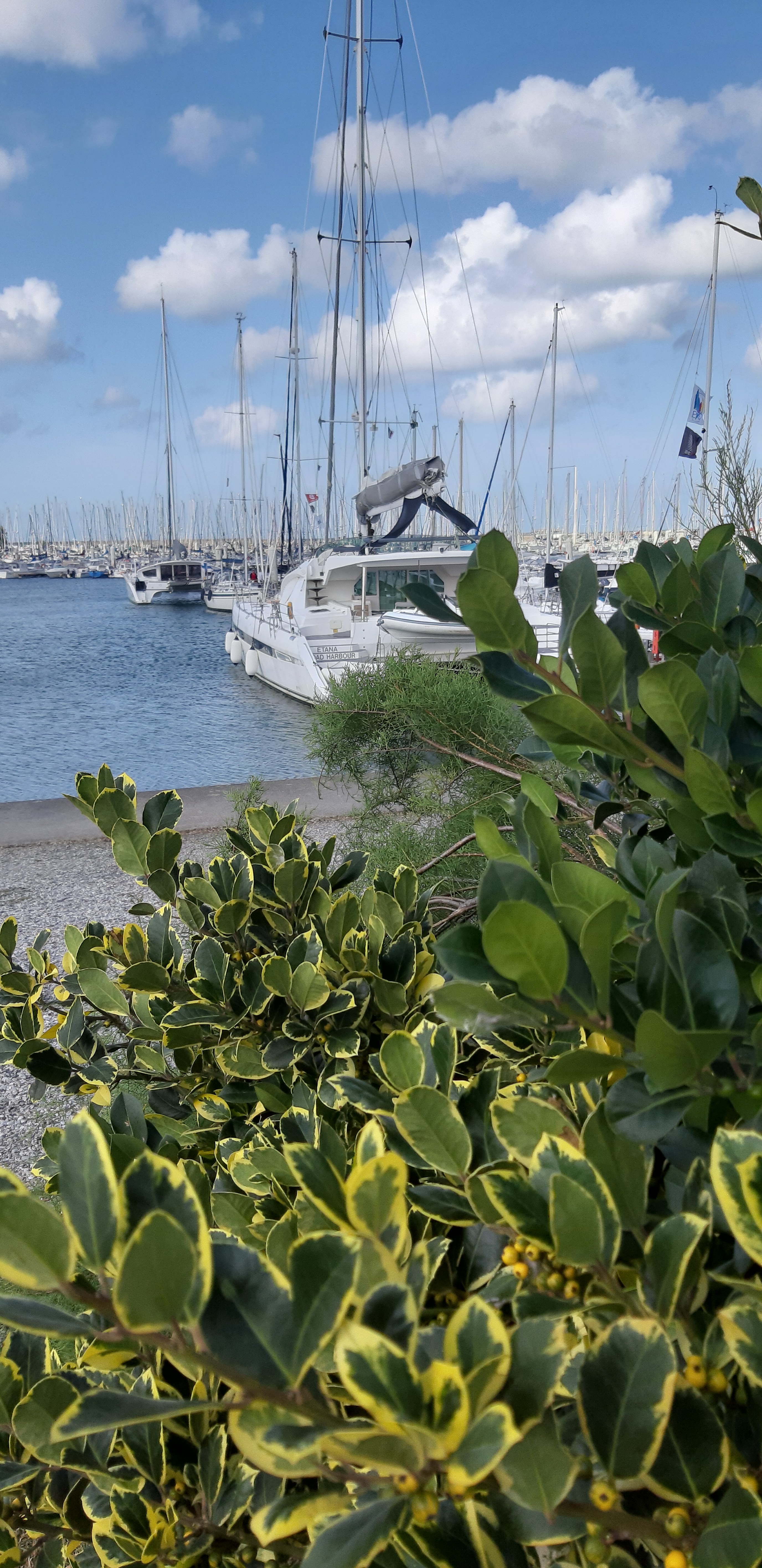 Photo n° 3 de l'avis de Jean-yves.a fait le 11/08/2019 à 18:07