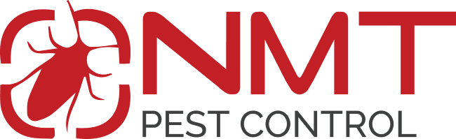 NMT Pest Control & Wasp Nest Removal - Brighton