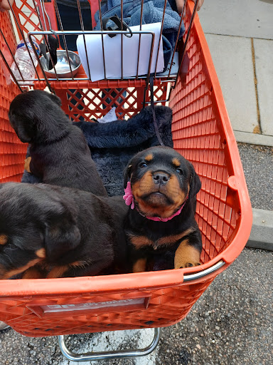 Pet Supply Store «Care-A-Lot Pet Supply Indian River», reviews and photos, 5457 Indian River Rd, Virginia Beach, VA 23464, USA