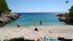 Pascuka beach'in fotoğrafı vahşi alan