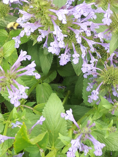 Golf Course «Harvard Gulch Golf Course», reviews and photos, 660 E Iliff Ave, Denver, CO 80210, USA