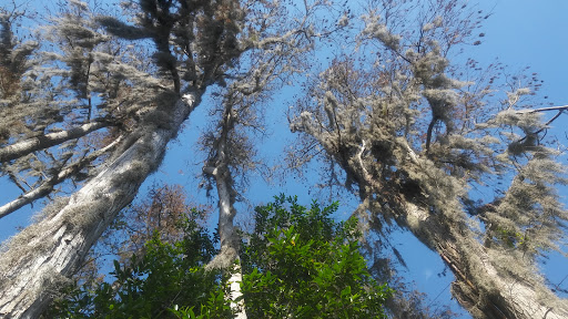 Recreation Center «Nye Recreation Center», reviews and photos, 630 Sunset Ln, Lutz, FL 33549, USA