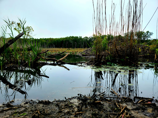 Hiking Area «Cowles Bog Trail», reviews and photos, 1618 N Mineral Springs Rd, Dune Acres, IN 46304, USA