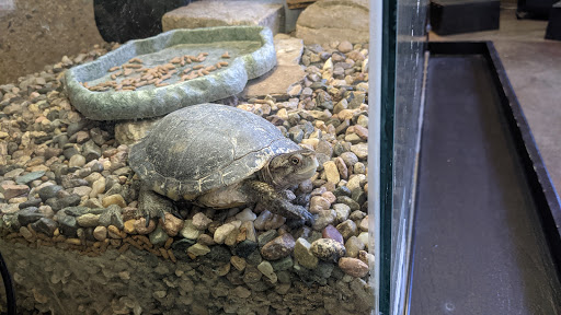 Nature Preserve «Peter and Mary Muth Interpretive Center», reviews and photos, 2301 University Dr, Newport Beach, CA 92660, USA