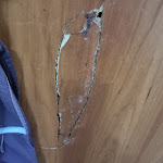 Photo n°3 de l'avis de Sasy.a fait le 05/09/2023 à 06:08 sur le  Holiday beach Village à Diamante