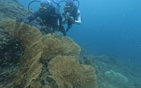 SCUBA INDIA (Diving Center) image