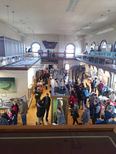 Museum «Rutgers Geology Museum», reviews and photos, 85 Somerset St, New Brunswick, NJ 08901, USA