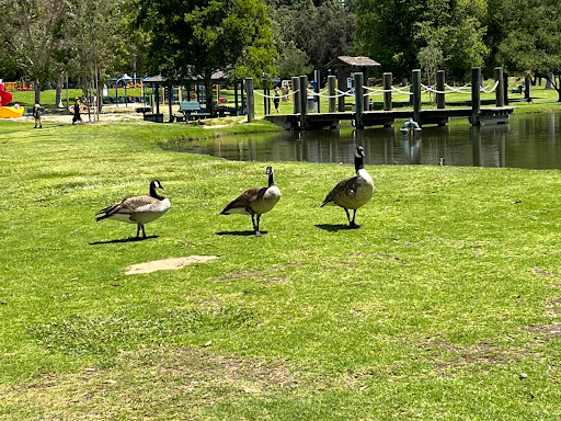 Park «Carbon Canyon Regional Park», reviews and photos, 4442 Carbon Canyon Rd, Brea, CA 92823, USA