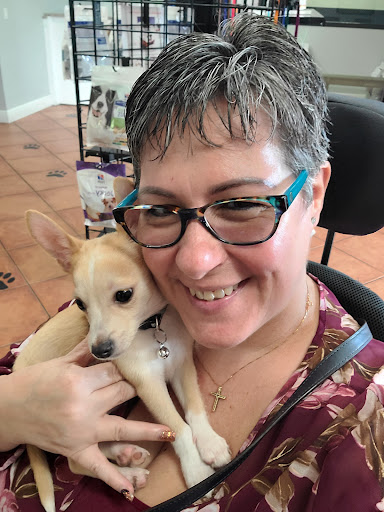 Veterinarian «PetCoral Resort and Veterinary», reviews and photos, 924 Del Prado Blvd, Cape Coral, FL 33990, USA