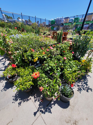 Home Improvement Store «The Home Depot», reviews and photos, 1781 E Bayshore Rd, East Palo Alto, CA 94303, USA