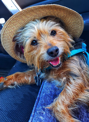 Jewelry Store «Tiffany & Co.», reviews and photos, 3333 Bristol St, Costa Mesa, CA 92626, USA