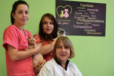 Clinique Vétérinaire du parc à Vallauris