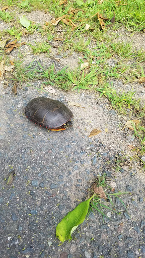 City Park «Lighthouse Point Park», reviews and photos, 2 Lighthouse Rd, New Haven, CT 06512, USA