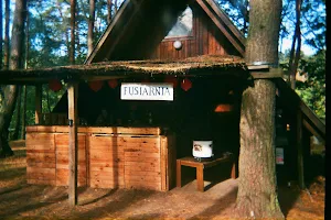 "On the trail of the Brda" resort kempingowo - tent in Bydgoszcz image