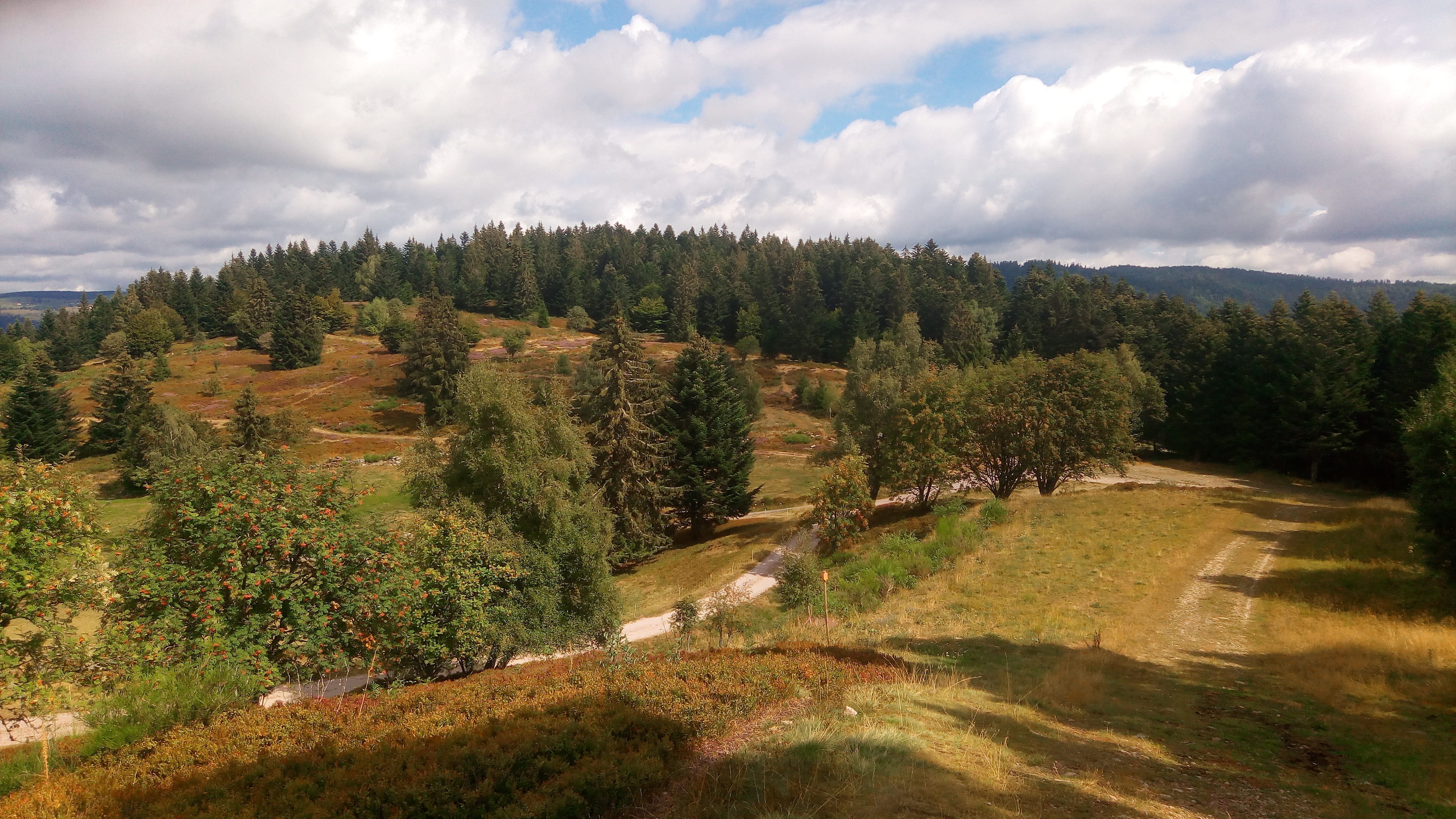 Photo n° 3 de l'avis de Mael.m fait le 14/08/2018 à 19:14