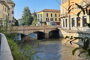 Ponte dei Leoni image