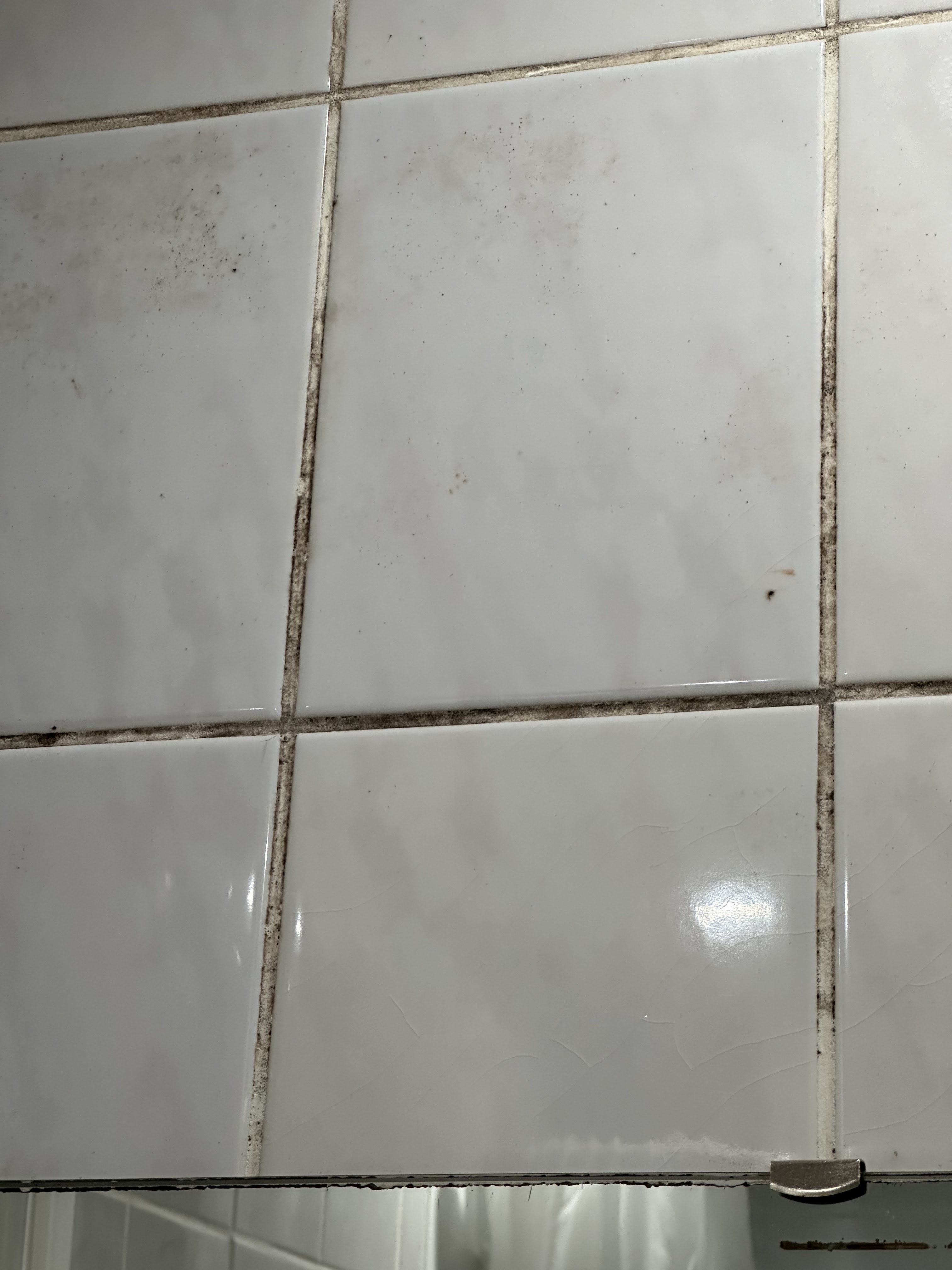Photo n° 1 de l'avis de Laure.i fait le 10/12/2023 à 20:21