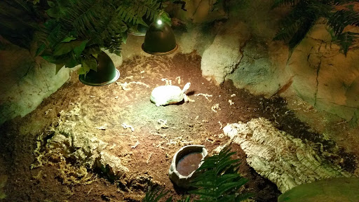 Aquarium «SEA LIFE Minnesota Aquarium», reviews and photos, 120 E Broadway, Bloomington, MN 55425, USA