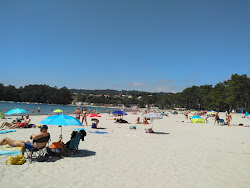 Zdjęcie Playa Magdalena z przestronna zatoka