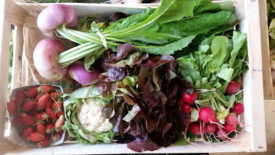 Le Potager de Gahard à Gahard
