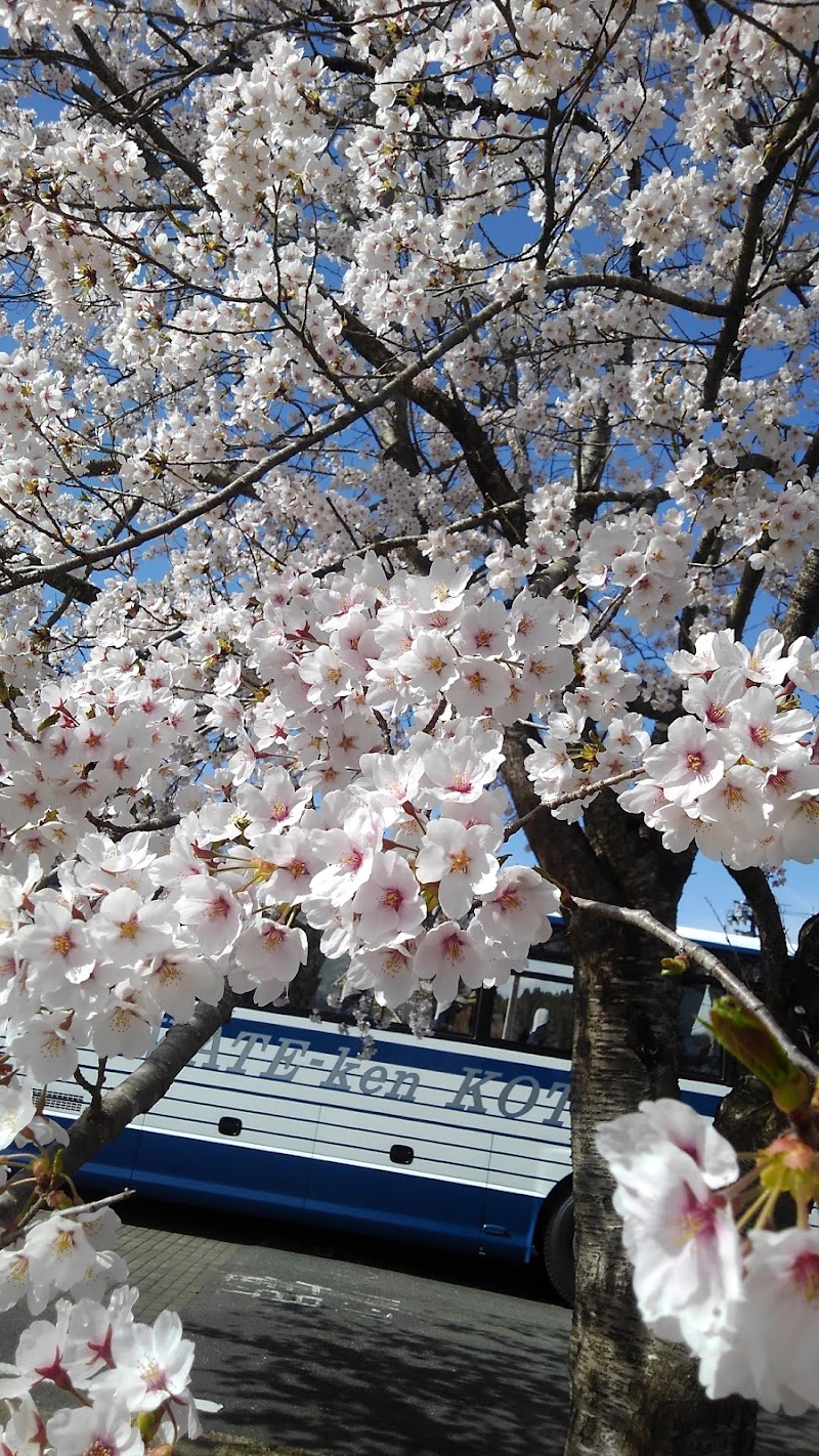 平泉郷土館