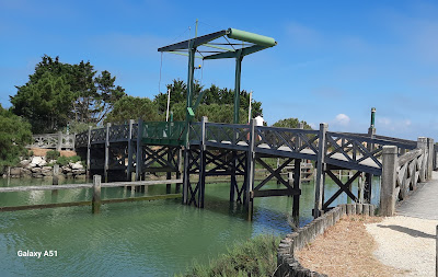 Plage de l'Anse de Pampin à L'Houmeau