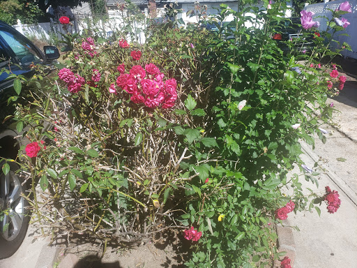 Park «Montbellier Park», reviews and photos, Springfield Blvd, Springfield Gardens, NY 11413, USA