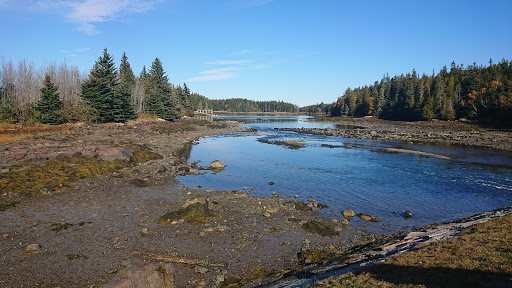 Vista Point «Schoodic Point», reviews and photos, Arey Cove Rd, Winter Harbor, ME 04693, USA