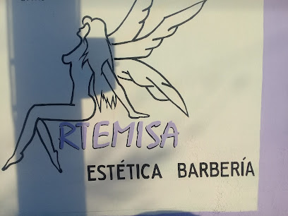 Estética y barbería Artemisa