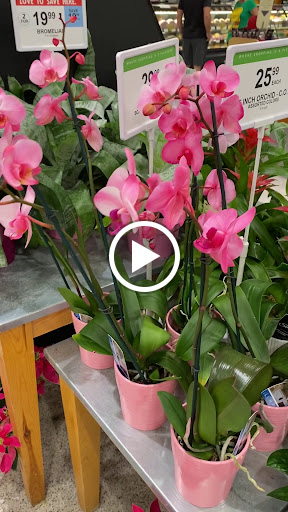 Pharmacy «Publix Pharmacy at Plaza Del Paraiso», reviews and photos, 12100 SW 127th Ave, Miami, FL 33186, USA