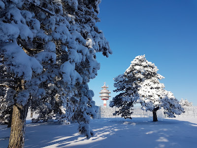 Parc Naturel Ludres à Ludres