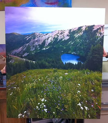 Commercial Printer «The Color Group», reviews and photos, 1741 4th Ave S B, Seattle, WA 98134, USA