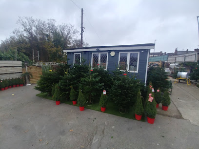 Christmas-Tree Farm