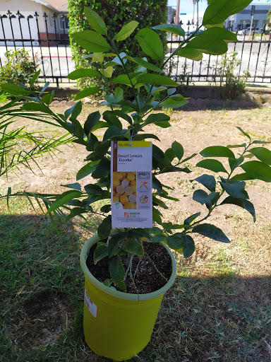 Home Improvement Store «The Home Depot», reviews and photos, 110 E Sepulveda Blvd, Carson, CA 90745, USA