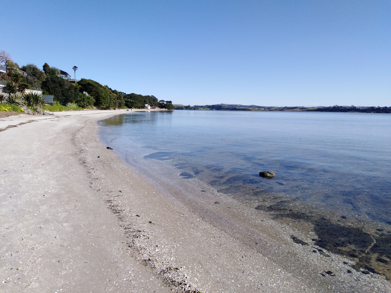Clarks Beach photo #8