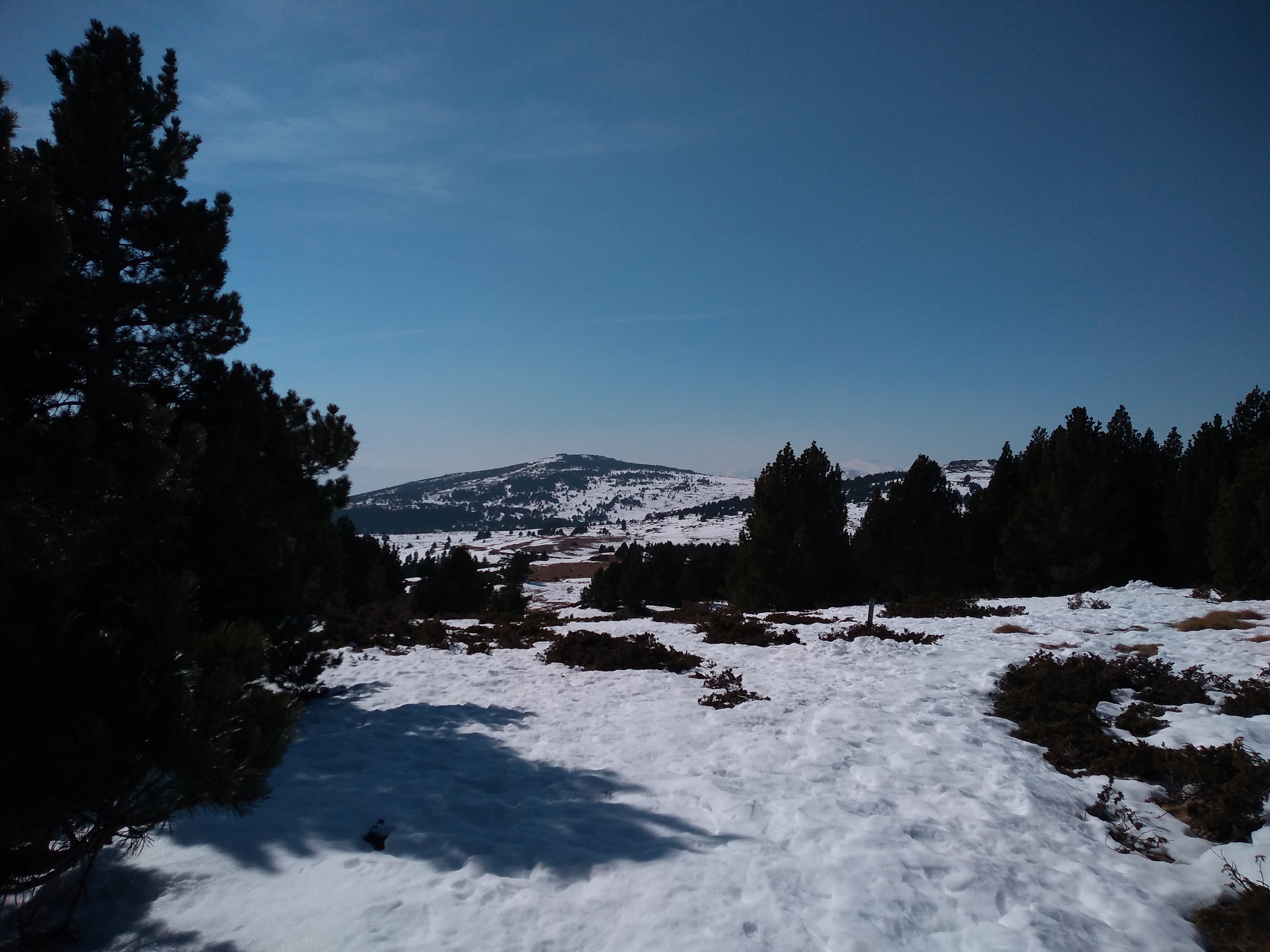 Photo n° 4 de l'avis de Mucho.u fait le 30/03/2019 à 13:47