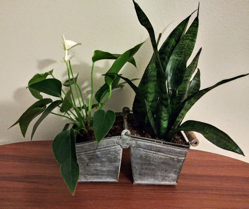 Florist «Flowers By Reni», reviews and photos, 45 Jackson St, Fishkill, NY 12524, USA