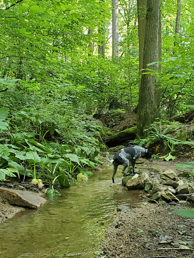 Nature Preserve «Wildlands Conservancy South Mountain Preserve», reviews and photos, Alpine St, Emmaus, PA 18049, USA