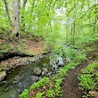 Coal Mine Brook