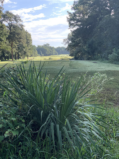 Golf Course «Pine Dunes Golf Course», reviews and photos, 159 Private Rd 7019, Frankston, TX 75763, USA