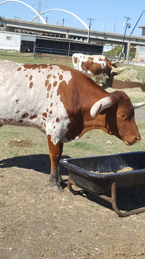 Park «Trammell Crow Park», reviews and photos, 3700 Sylvan Ave, Dallas, TX 75207, USA