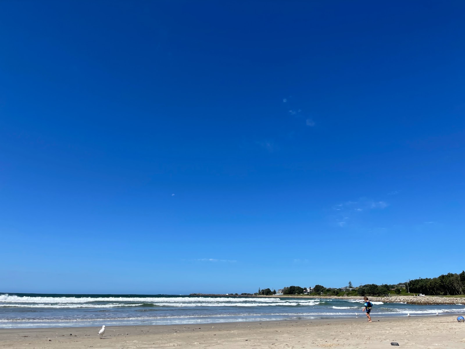 Foto av Crowdy Bay Beach med turkos rent vatten yta