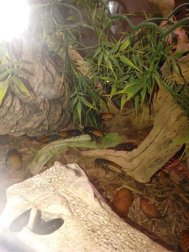 Aquarium «SEA LIFE Minnesota Aquarium», reviews and photos, 120 E Broadway, Bloomington, MN 55425, USA