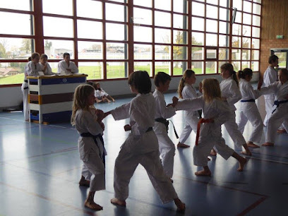 Karate-Do Sanchin