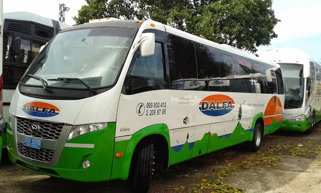 Opiniones de Dalfa Turismo Omnibus es de Alquiler - Agencia de Viajes Autorizada en Pan de Azúcar - Agencia de viajes