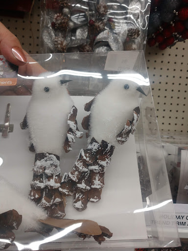 Discount Store «Big Lots», reviews and photos, 425 Sawdust Rd a, Spring, TX 77380, USA