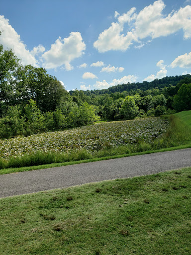 Golf Course «The Falls Golf Course», reviews and photos, 57 Jennie Green Road, Falls of Rough, KY 40119, USA